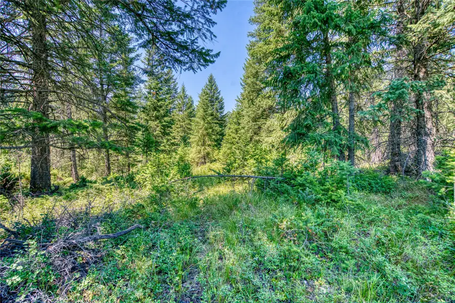 NHN Bowdish Road, Whitefish, MT 59937 - #3