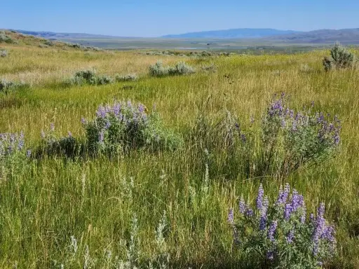 TBD Old Flathead Creek Road, Wilsall, MT 59086 - #3