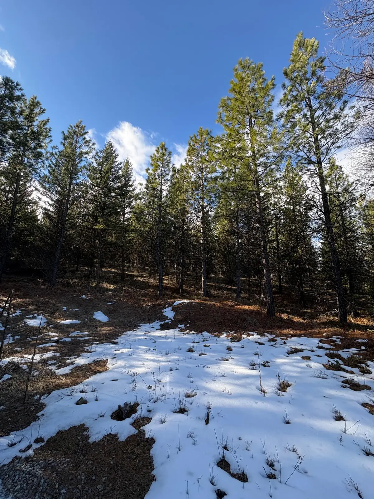 Lot 5 Panoramic View Drive, Libby, MT 59923 - #1