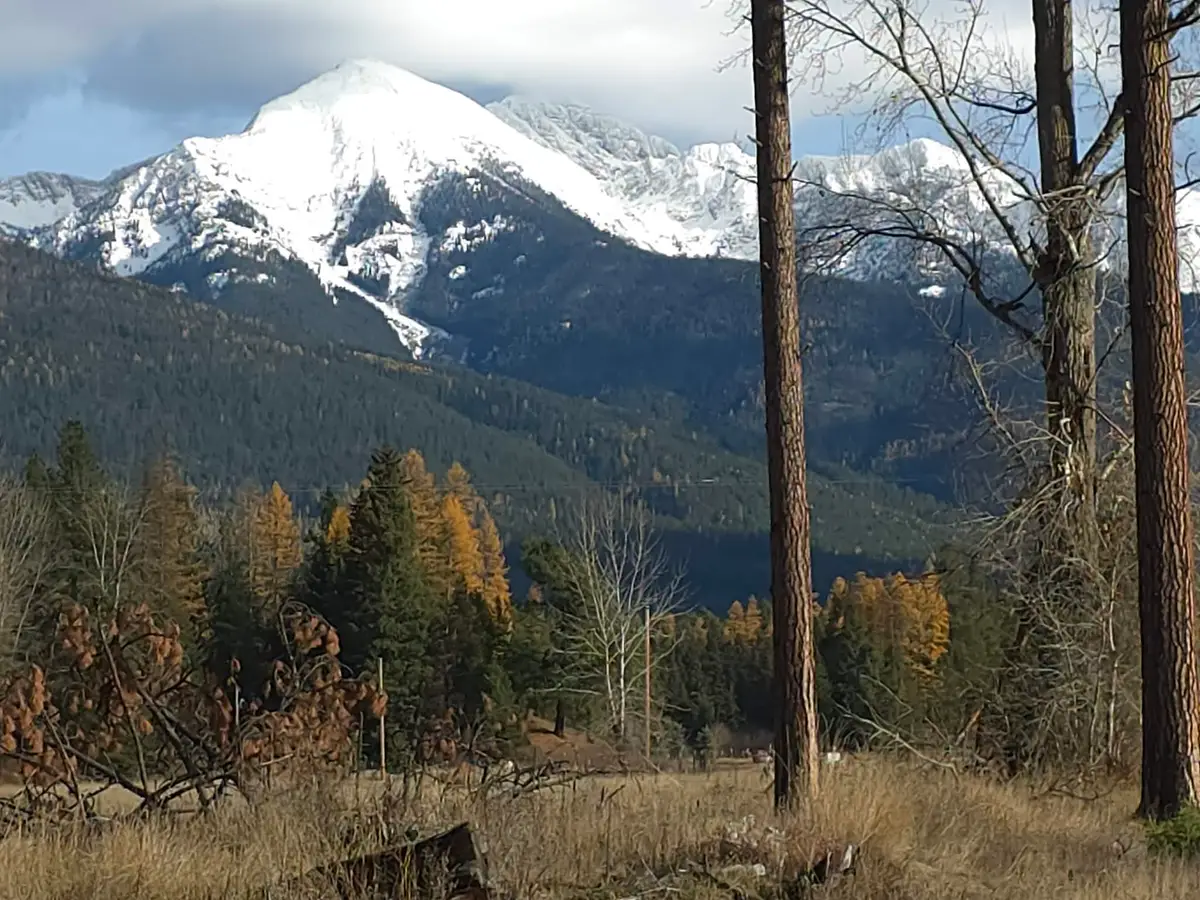 NHN Nhn Hollopeter Road, Condon, MT 59826 - #1