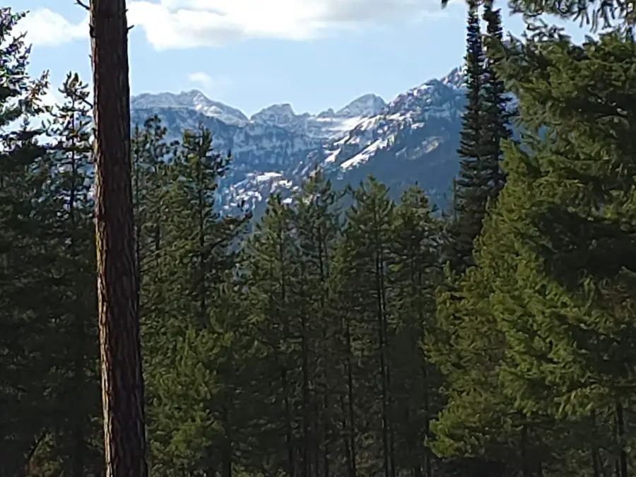 NHN Nhn Hollopeter Road, Condon, MT 59826 - #2