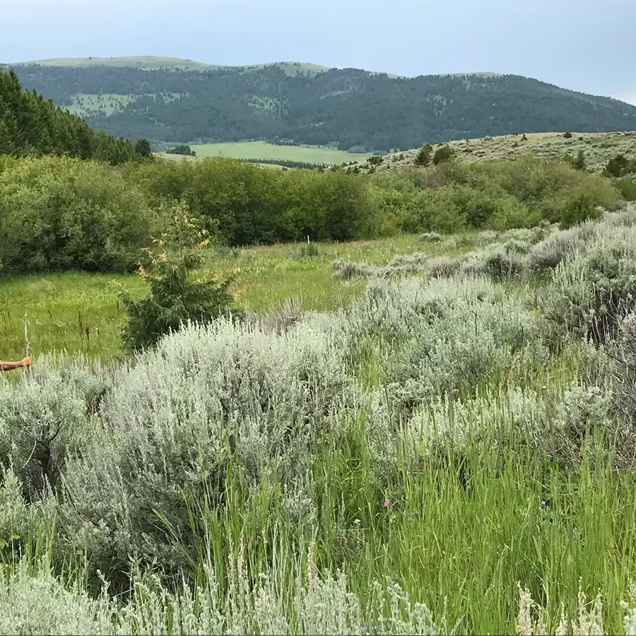 40 Mike Day Drive, White Sulphur Springs, MT 59645 - #3