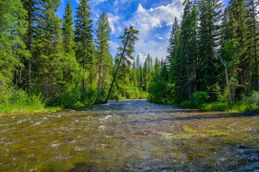 1355 Lindbergh Lake Road, Condon, MT 59826 - #2