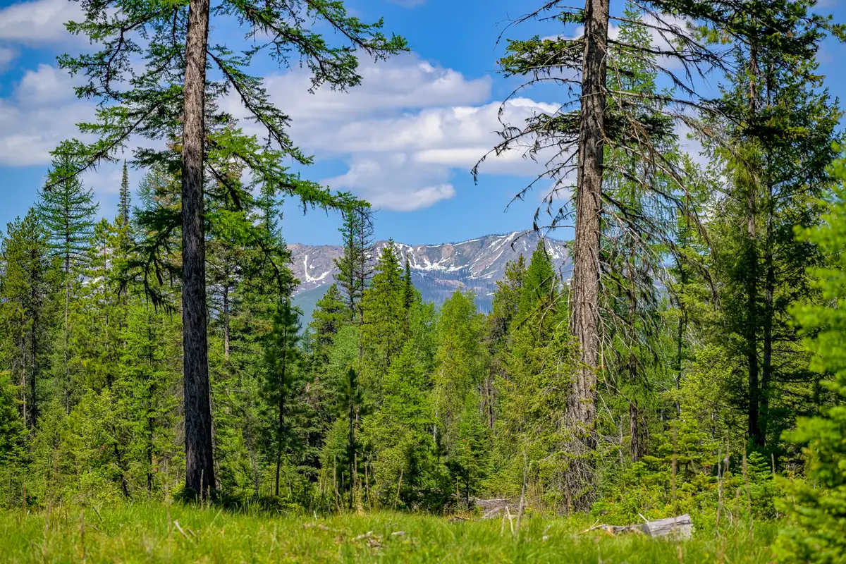 NHN Lindbergh Lake Road, Condon, MT 59826 - #1