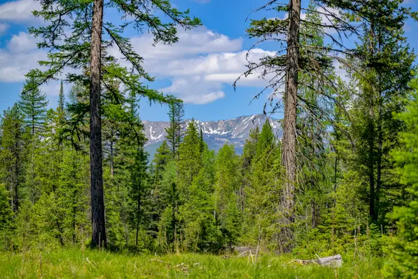 NHN Lindbergh Lake Road, Condon, MT 59826
