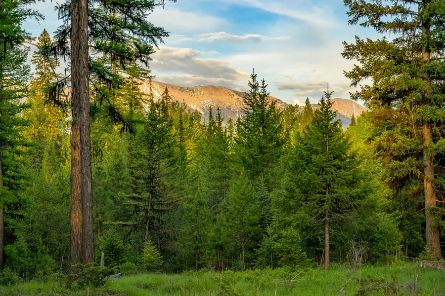 NHN Lindbergh Lake Road, Condon, MT 59826 - #3