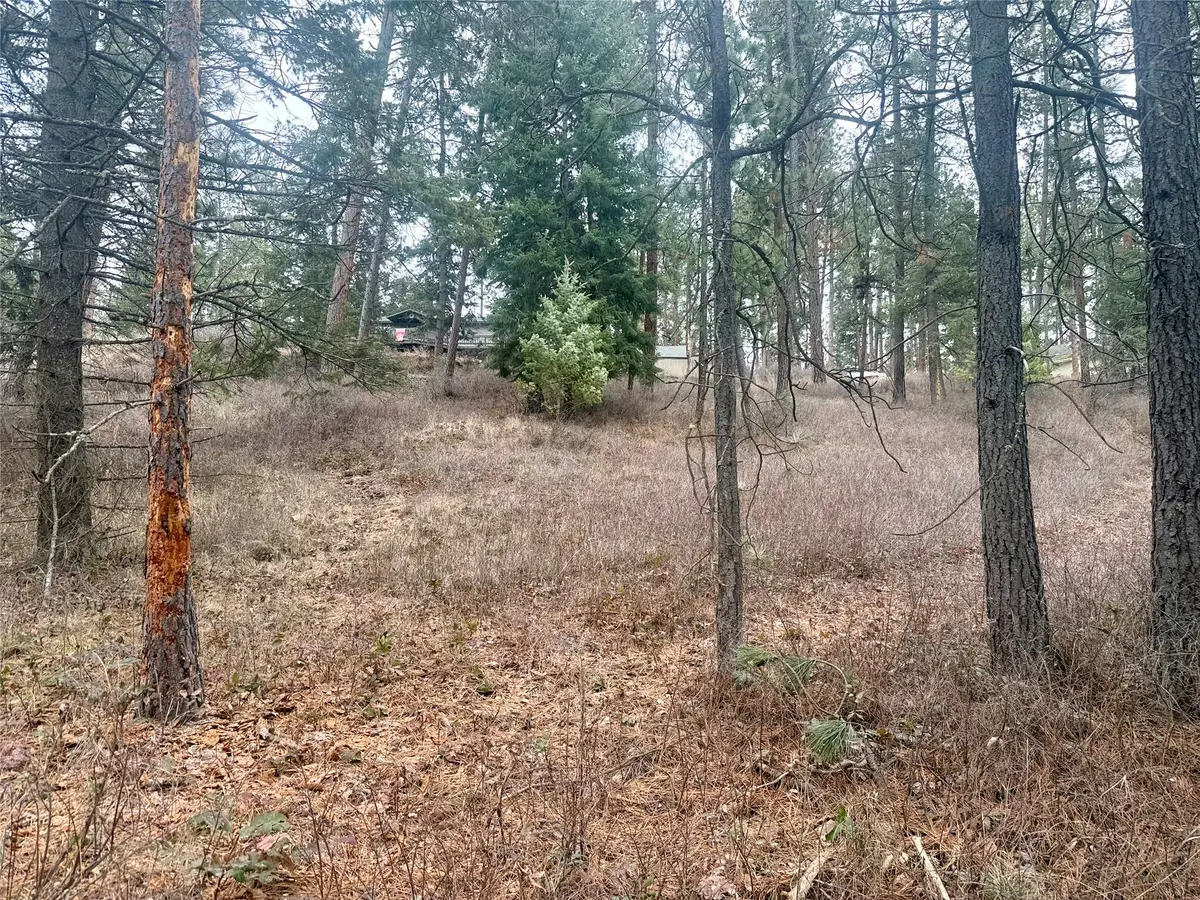 NHN Melita Island Lane, Polson, MT 59860 - #1