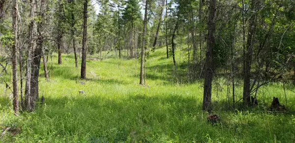 109 Coffee Drive, Eureka, MT 59917