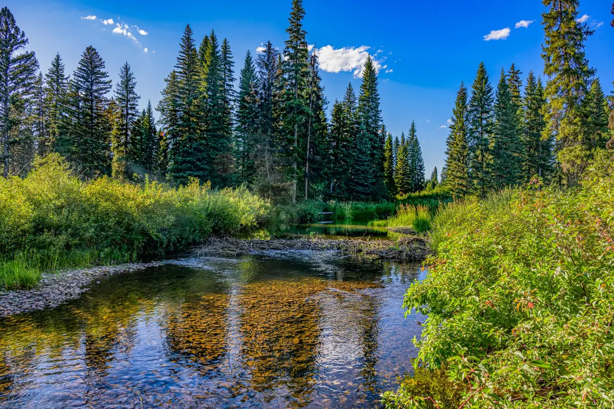 NHN Route 83, Seeley Lake, MT 59868 - #1
