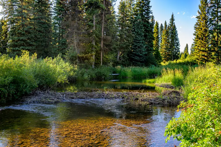 NHN Route 83, Seeley Lake, MT 59868 - #3