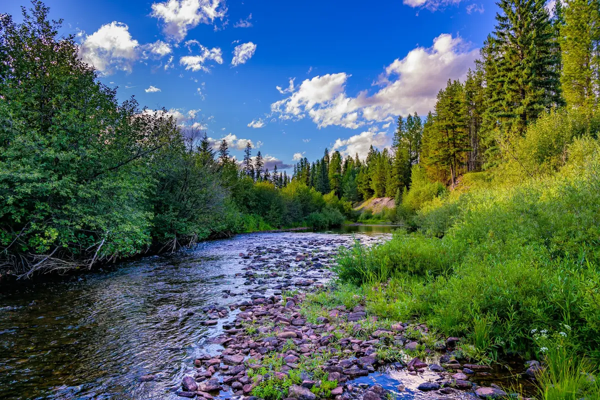 002 Route 83, Seeley Lake, MT 59868 - #1