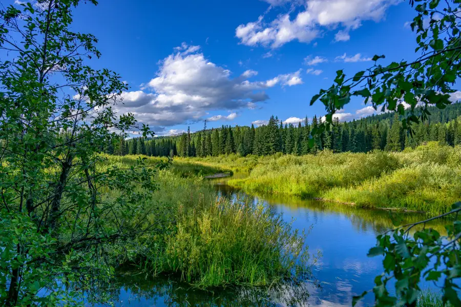 002 Route 83, Seeley Lake, MT 59868 - #2