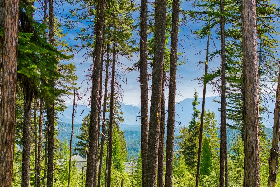 205 Ridge Run Court, Whitefish, MT 59937 - #2