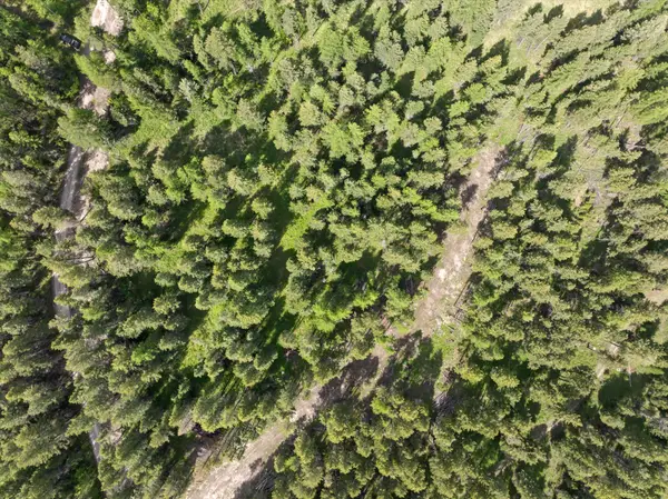 439 Buffalo Trail, Somers, MT 59932