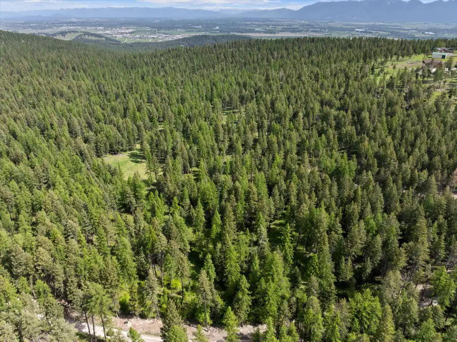 439 Buffalo Trail, Somers, MT 59932 - #3