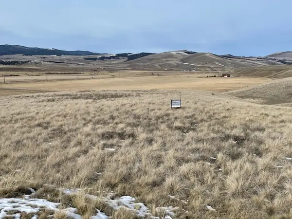 Tract 8 Longhorn Drive, Philipsburg, MT 59858