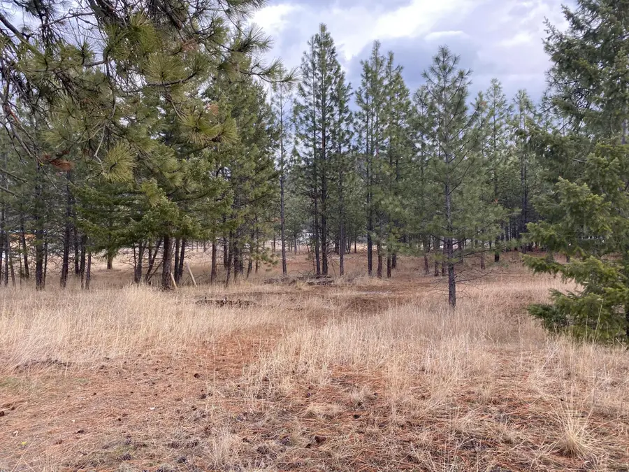 Nhn Cyr Iron Mountain Road, Superior, MT 59872 - #3