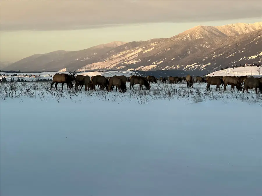 815 Velvet Grove, Eureka, MT 59917 - #3