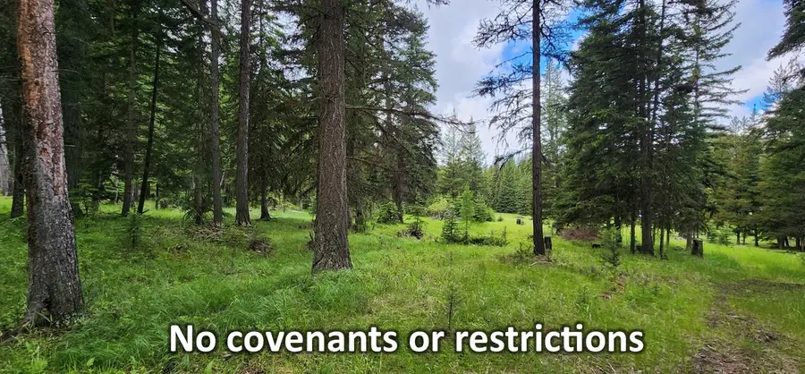 1720 Coon Hollow Road, Kila, MT 59920 - #2