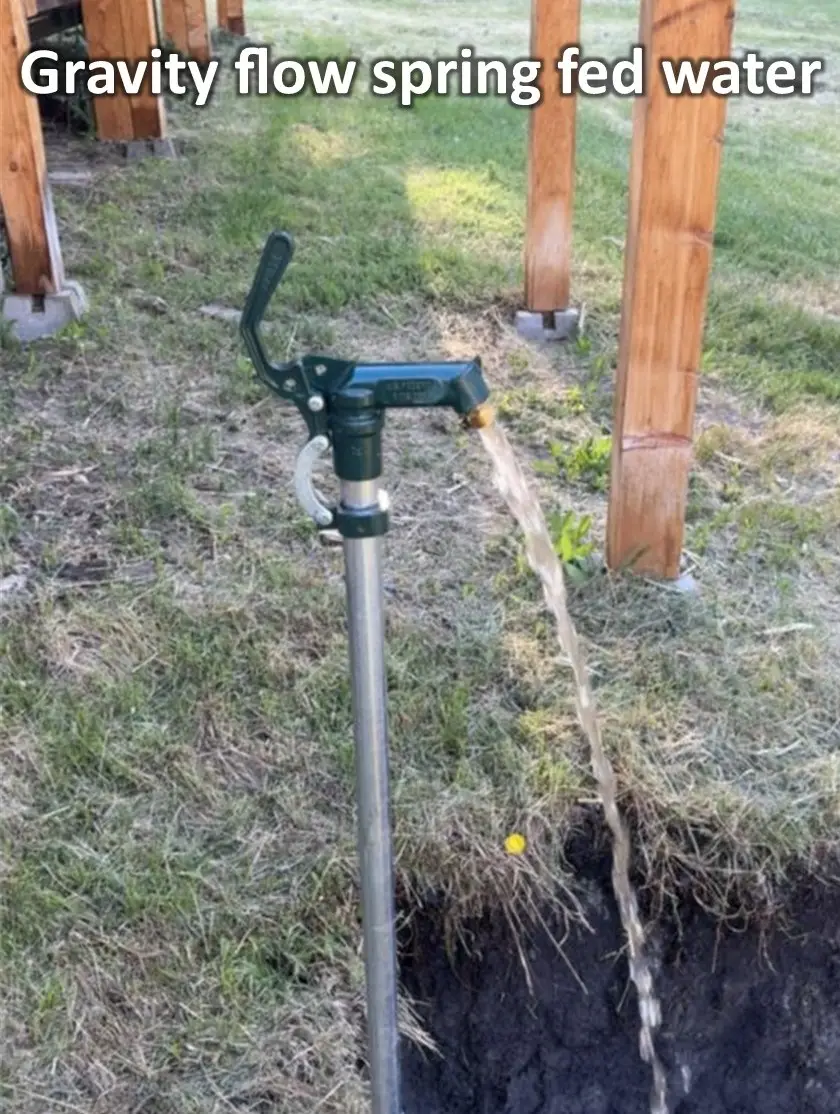 1720 Coon Hollow Road, Kila, MT 59920 - #3