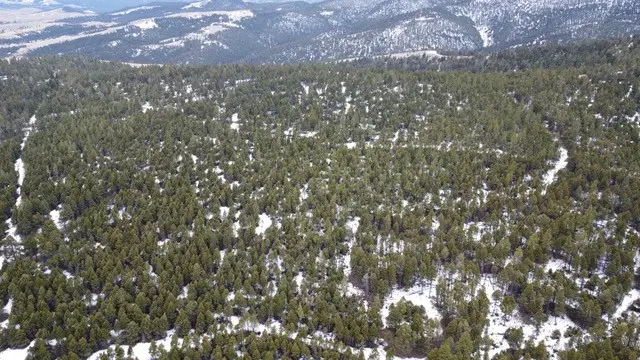 TBD Turk Road, Helena, MT 59602 - #2