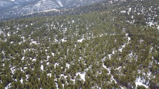 TBD Turk Road, Helena, MT 59602 - #3