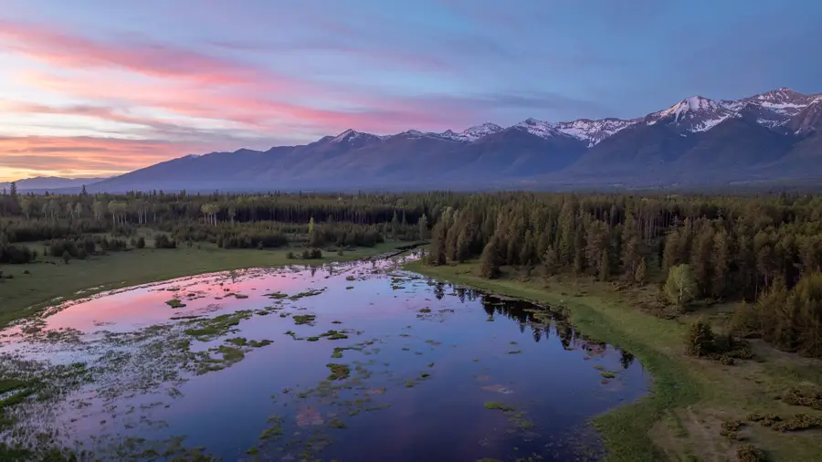 699 Glacier-elk Creek Road, Condon, MT 59826 - #3