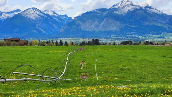 Lot D Prestige Way, Corvallis, MT 59828