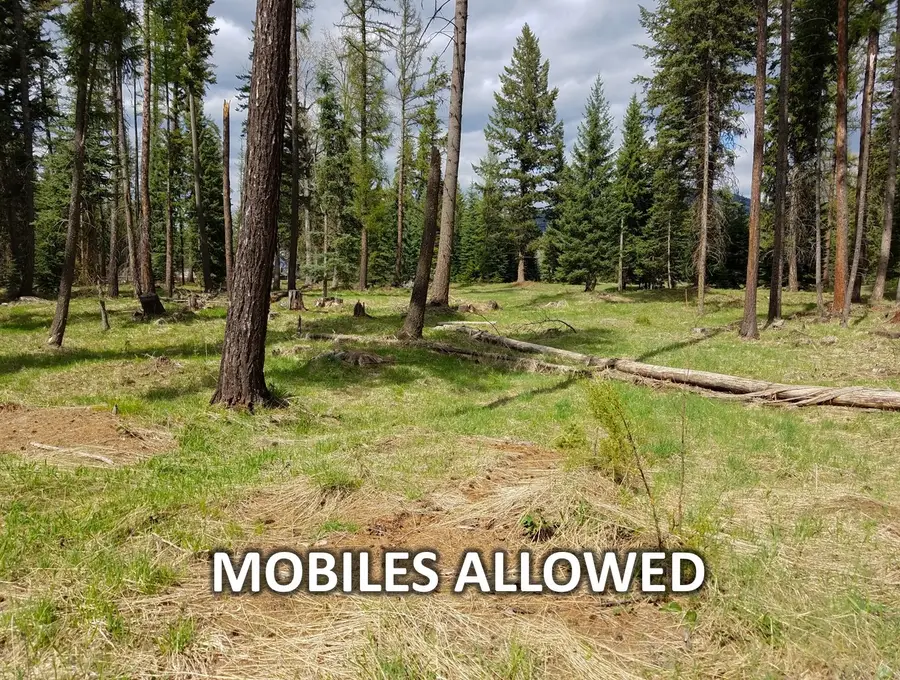 137 Fallen Bear Lane, Libby, MT 59923 - #2