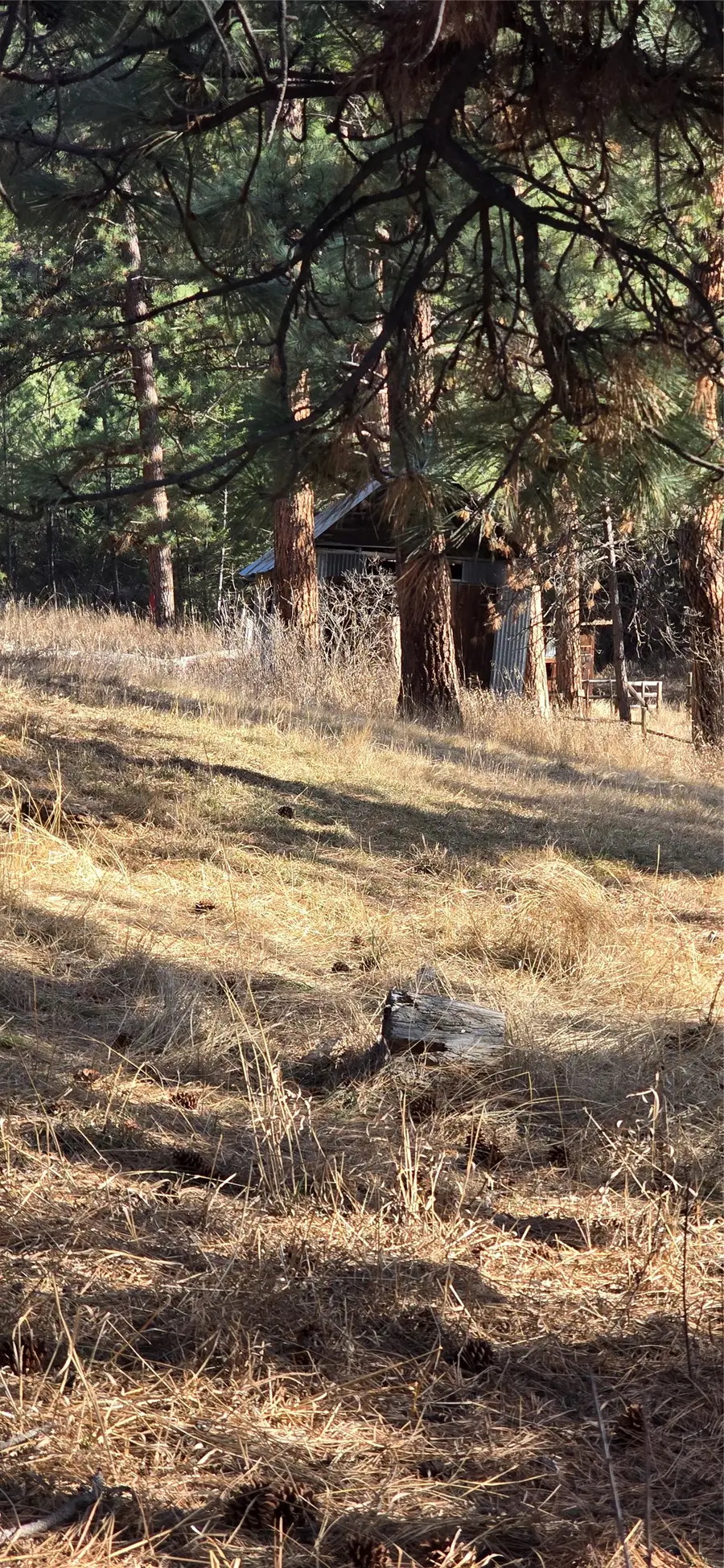 10 Tobacco Root Lane, Whitehall, MT 59759 - #3