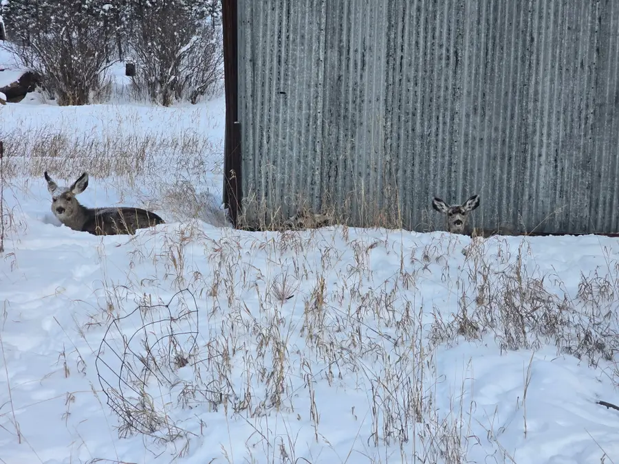 211 Warm Springs Creek Road, Clancy, MT 59634 - #3