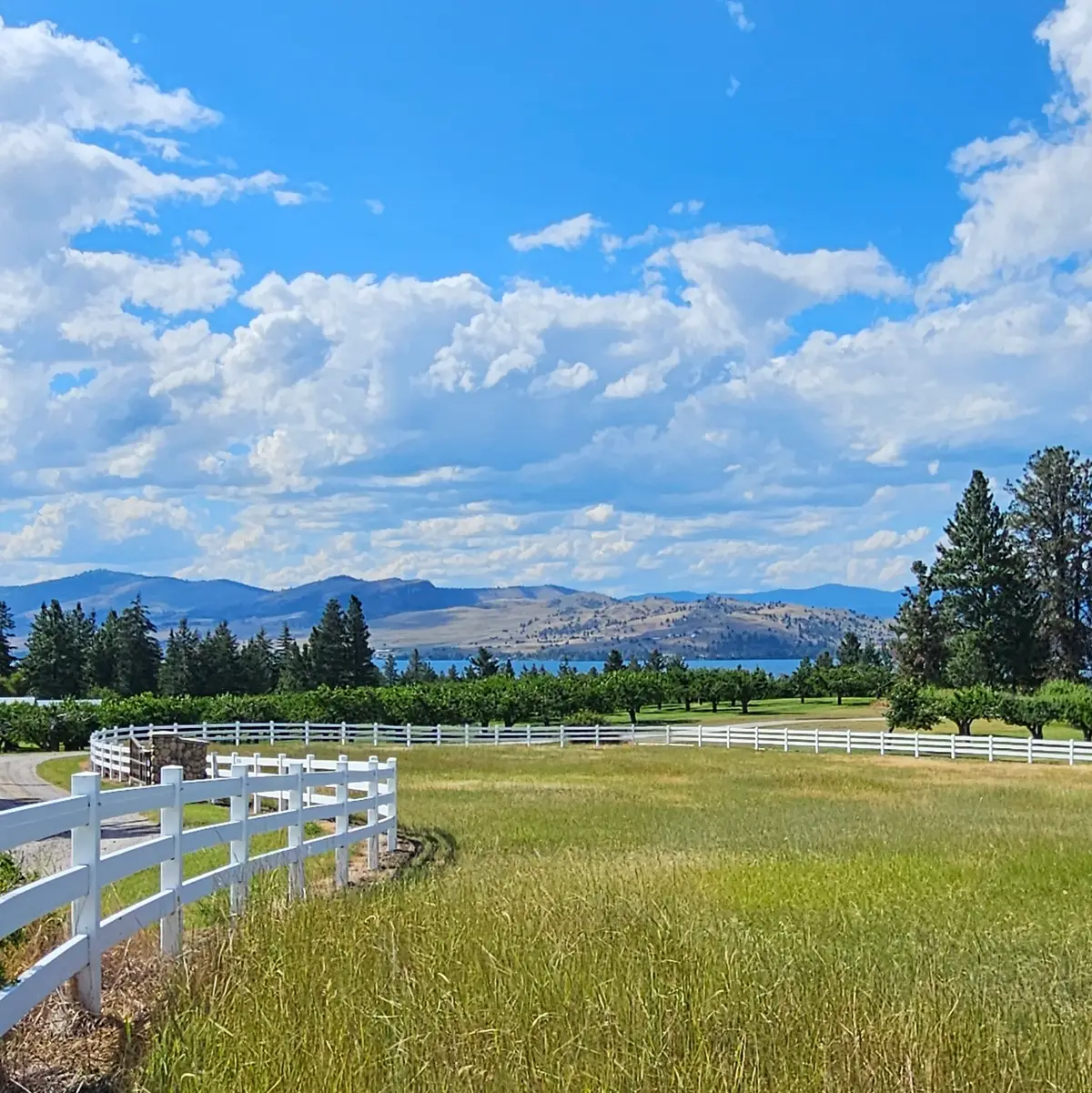 39784 Us Hwy 93, Polson, MT 59860 - #1