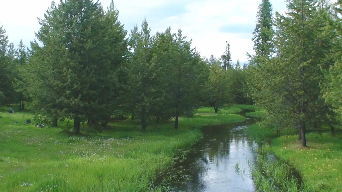 360 Discovery Loop, Marion, MT 59925 - #1