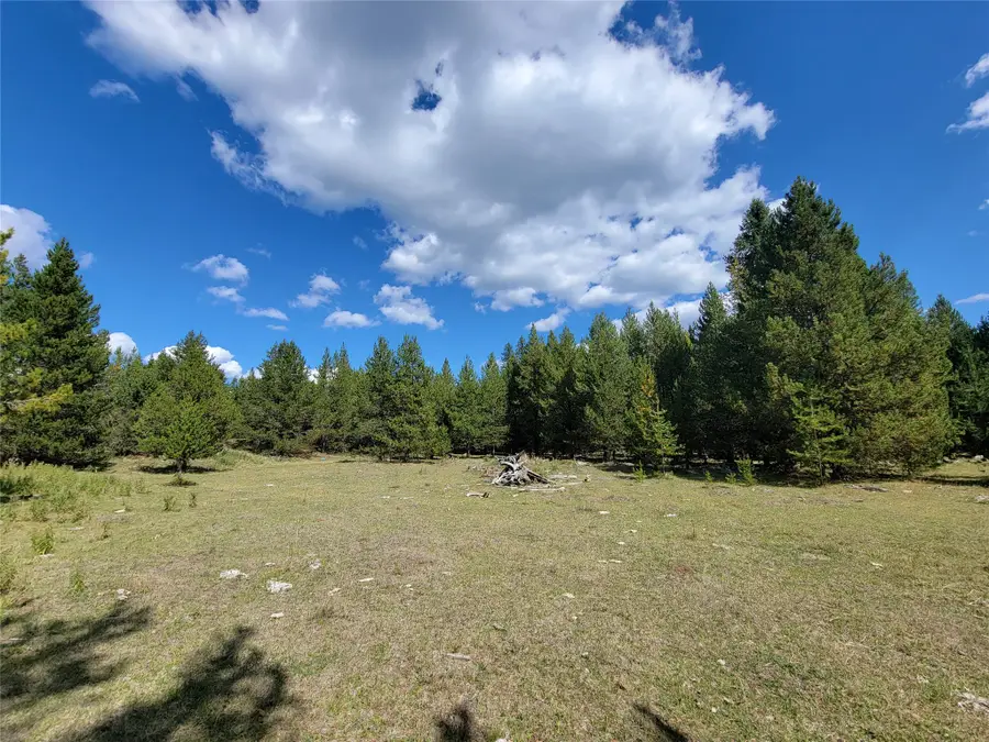 360 Discovery Loop, Marion, MT 59925 - #2