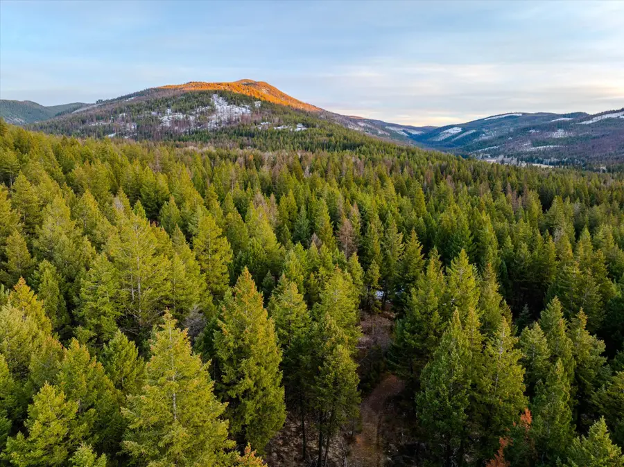 260 Wild Horse Trail, Kila, MT 59920 - #2