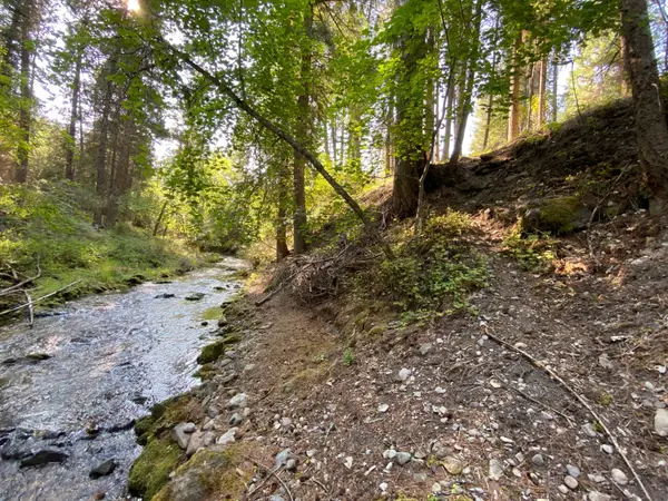 71 Osprey Drive E, Thompson Falls, MT 59873