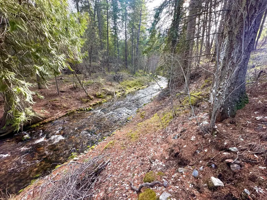 71 Osprey Drive E, Thompson Falls, MT 59873 - #2