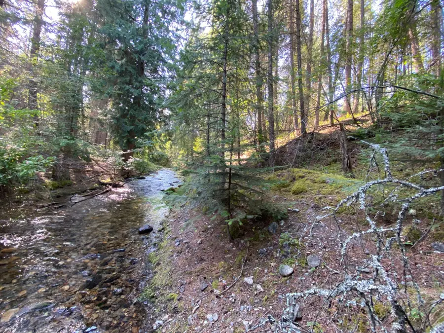 71 Osprey Drive E, Thompson Falls, MT 59873 - #3