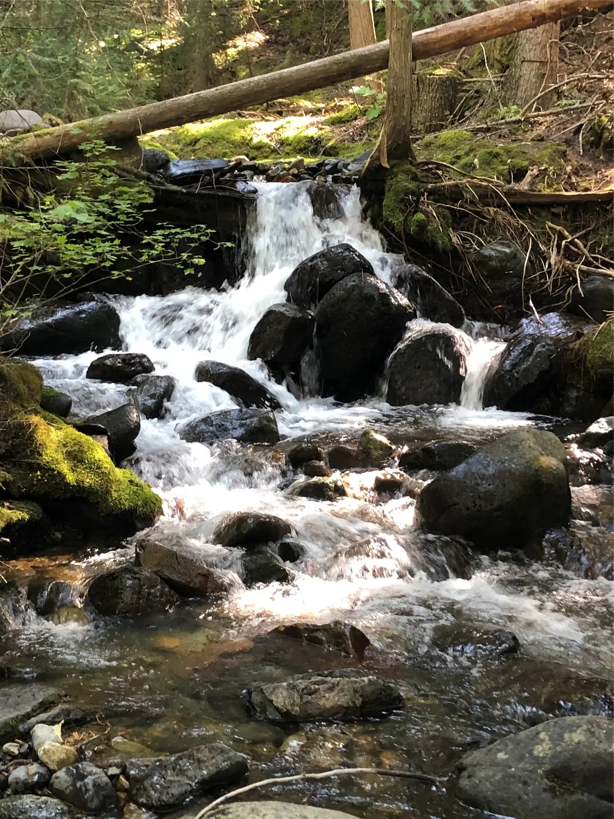 4144 Indian Creek Road, Eureka, MT 59917 - #1