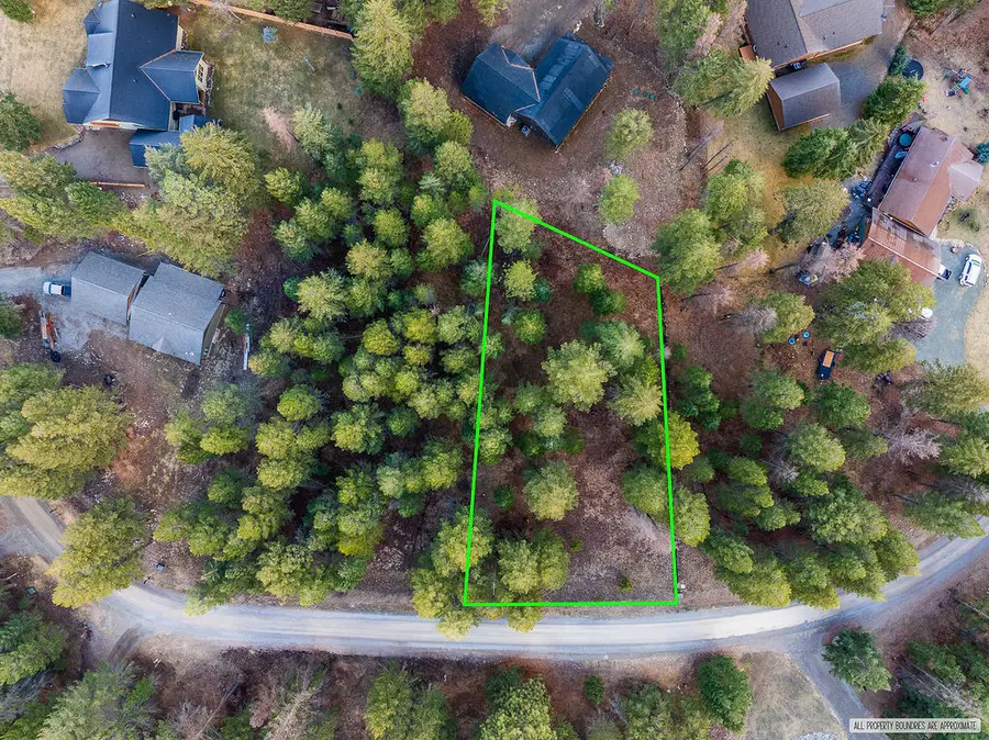 NHN Forest Loop Road, Eureka, MT 59917 - #2