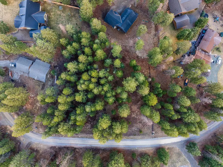 NHN Forest Loop Road, Eureka, MT 59917 - #3