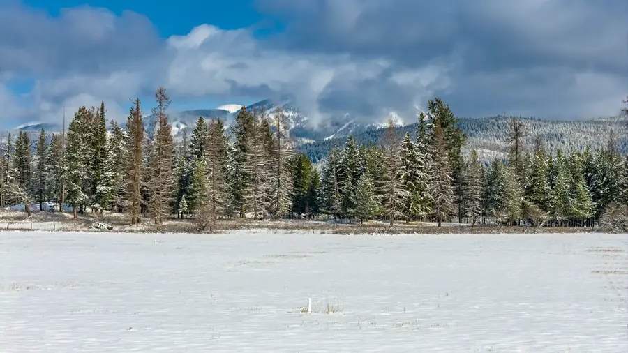 207 Wilhelm Way, Whitefish, MT 59937 - #2