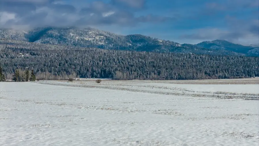 207 Wilhelm Way, Whitefish, MT 59937 - #3