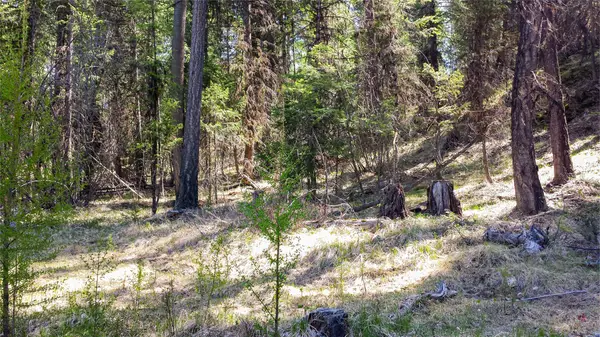 Lot 7 Whispering Pines, Fortine, MT 59918