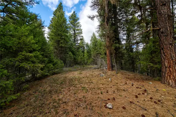 NHN Ravenwood Road, Darby, MT 59829