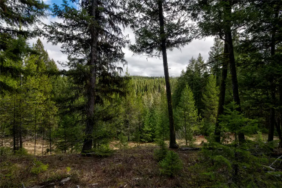 NHN Ravenwood Road, Darby, MT 59829 - #3