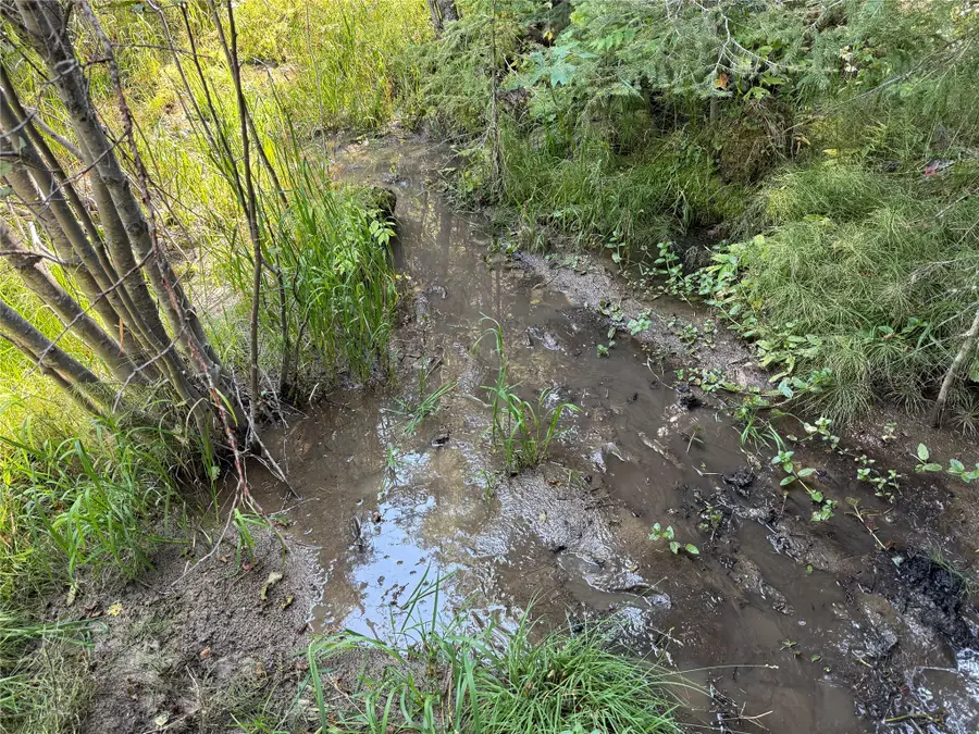 NHN Bell Trail - Young America Lode, Philipsburg, MT 59858 - #3