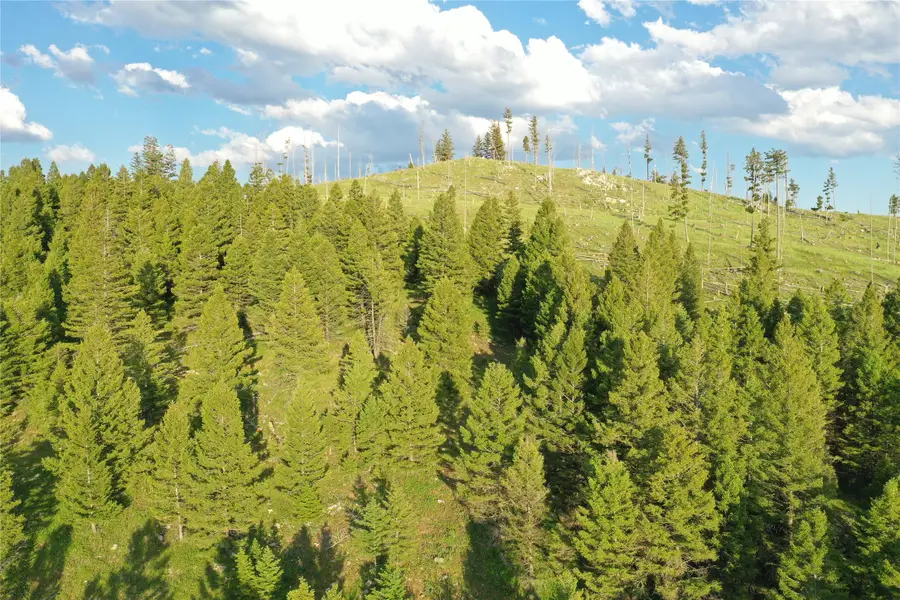 1 Tract Garnet Range, Drummond, MT 59832 - #3