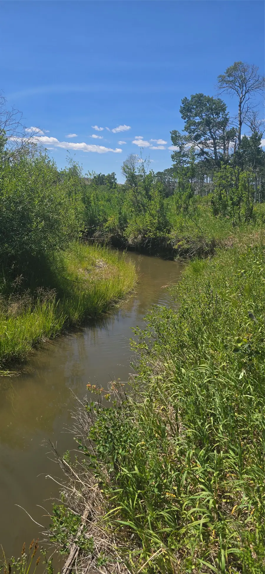 2A School House Meadows, Helmville, MT 59843 - #3