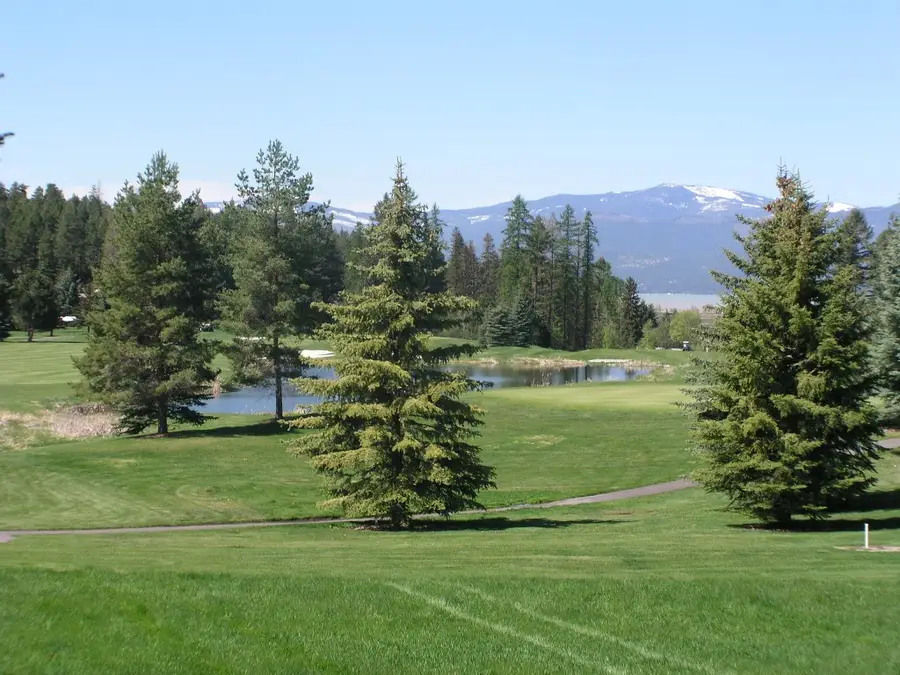 108 Golden Bear Drive, Bigfork, MT 59911 - #2